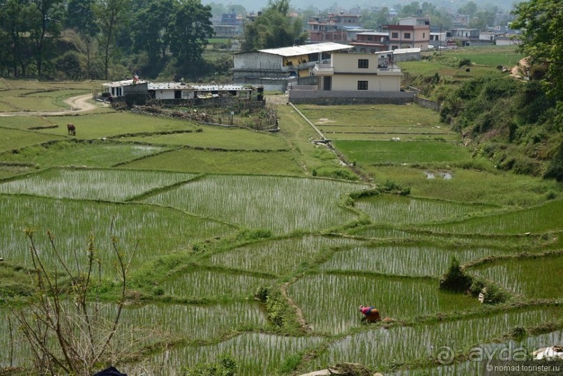 Затерянные Гималаи, Непал-Бутан. Часть 4