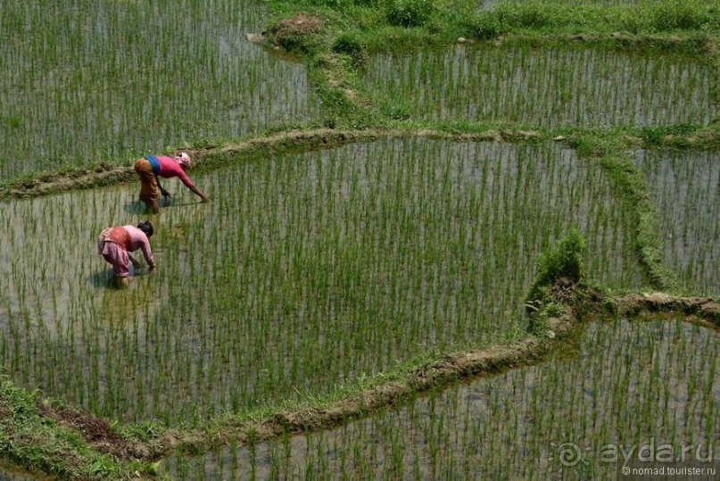 Затерянные Гималаи, Непал-Бутан. Часть 4
