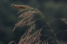 Затерянные Гималаи, Непал-Бутан. Часть 4