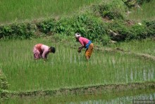 Затерянные Гималаи, Непал-Бутан. Часть 4