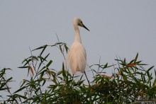 Затерянные Гималаи, Непал-Бутан. Часть 4