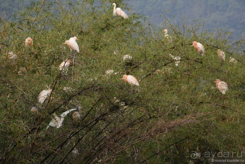 Затерянные Гималаи, Непал-Бутан. Часть 4