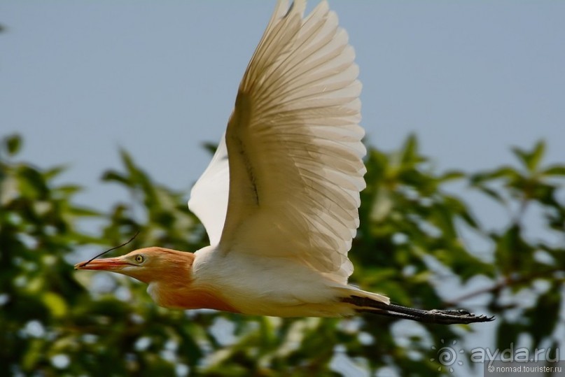Затерянные Гималаи, Непал-Бутан. Часть 4