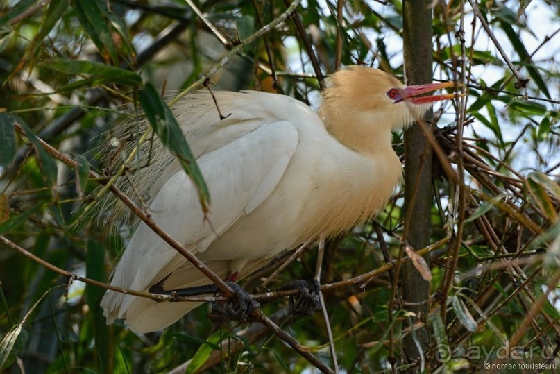 Затерянные Гималаи, Непал-Бутан. Часть 4