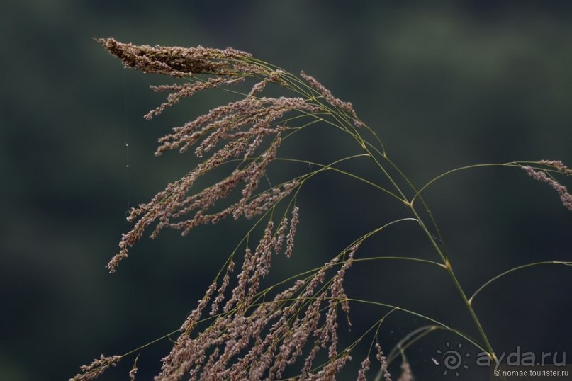 Затерянные Гималаи, Непал-Бутан. Часть 4