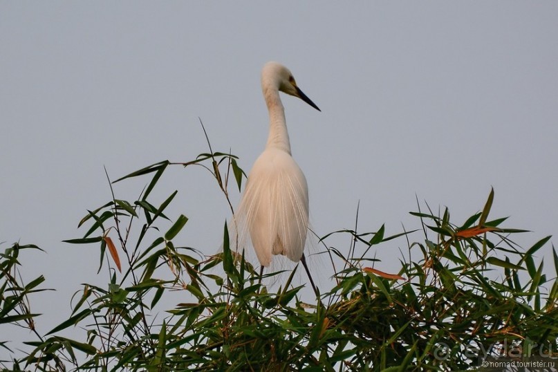 Затерянные Гималаи, Непал-Бутан. Часть 4