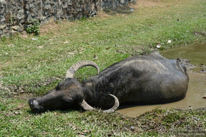 Затерянные Гималаи, Непал-Бутан. Часть 4