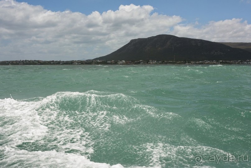 Африканский калейдоскоп. Часть 4