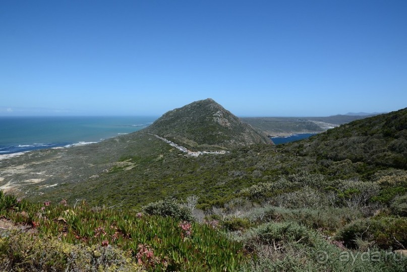 Африканский калейдоскоп. Часть 4