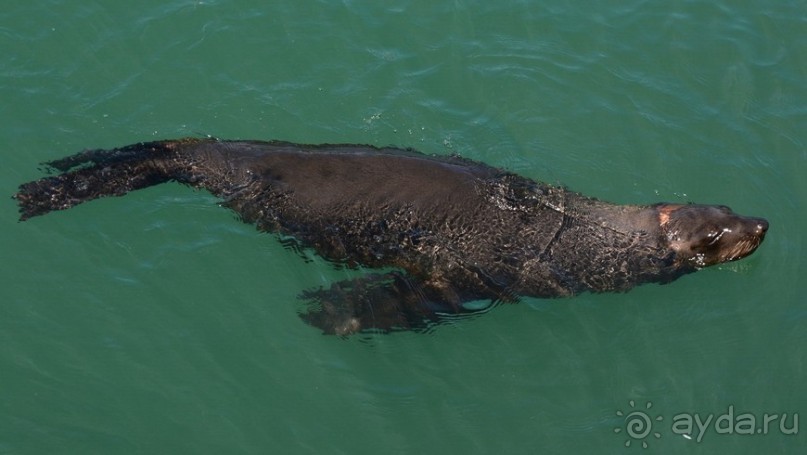 Африканский калейдоскоп. Часть 4