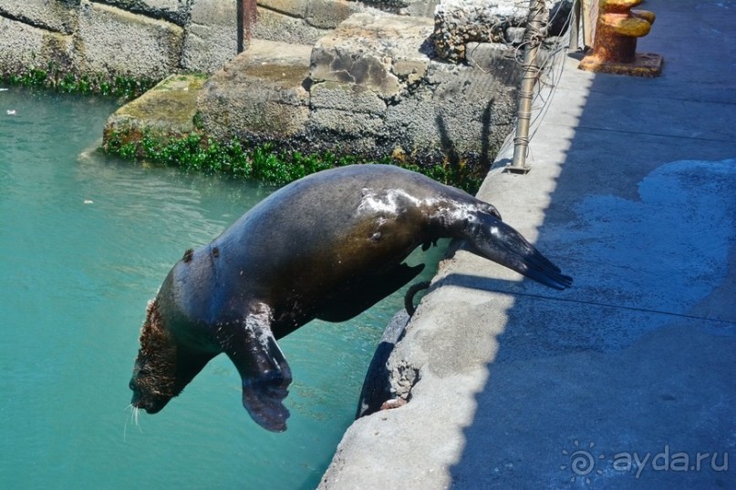 Африканский калейдоскоп. Часть 4