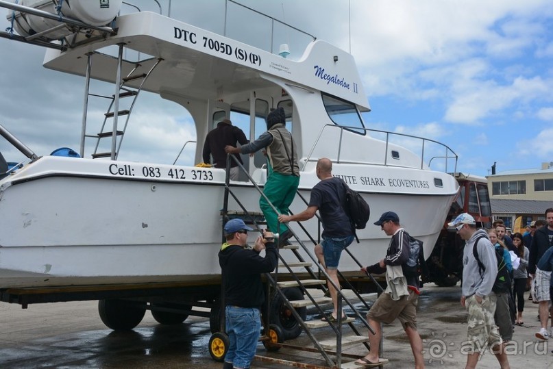 Африканский калейдоскоп. Часть 4