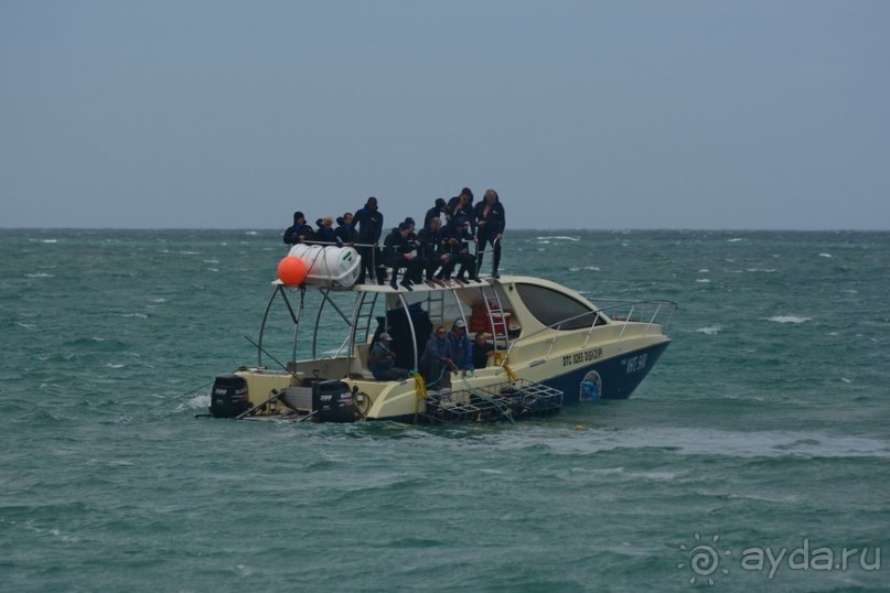 Африканский калейдоскоп. Часть 4