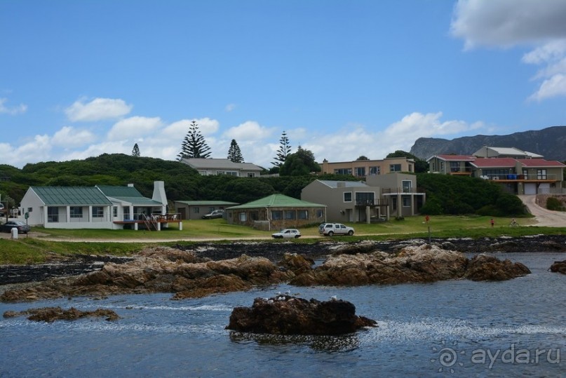 Африканский калейдоскоп. Часть 4