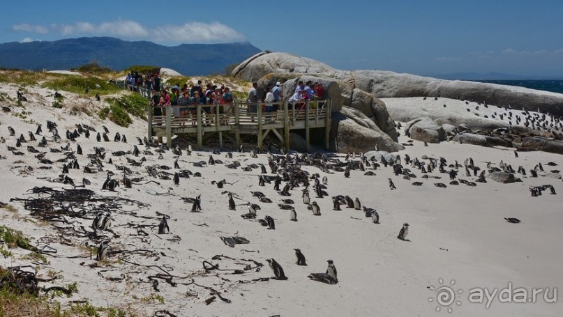 Африканский калейдоскоп. Часть 4