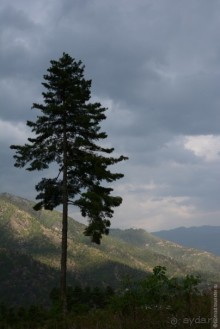 Затерянные Гималаи, Непал-Бутан. Часть 11