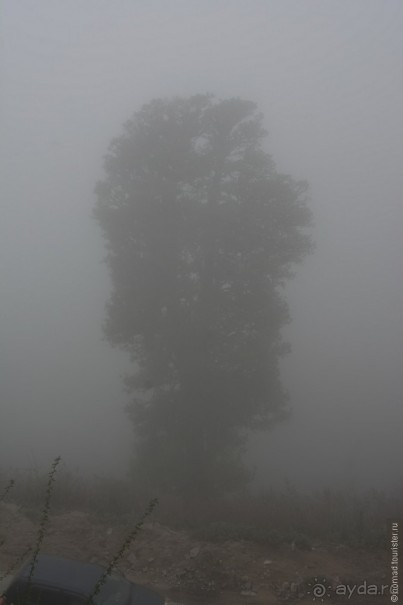 фото Бутана