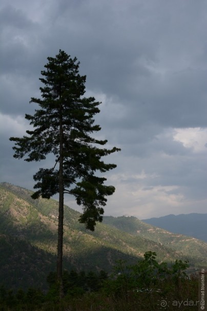 Затерянные Гималаи, Непал-Бутан. Часть 11