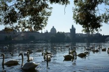 Результаты 2015... Могло быть хуже?