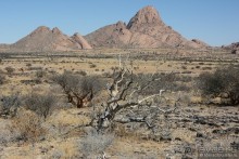 Результаты 2015... Могло быть хуже?