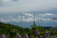 Результаты 2015... Могло быть хуже?