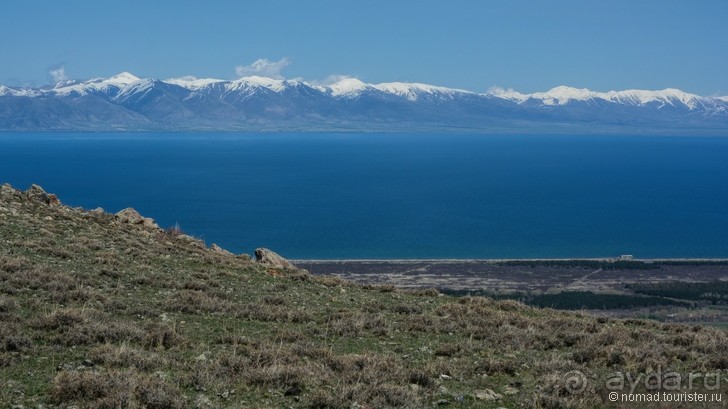 Результаты 2015... Могло быть хуже?