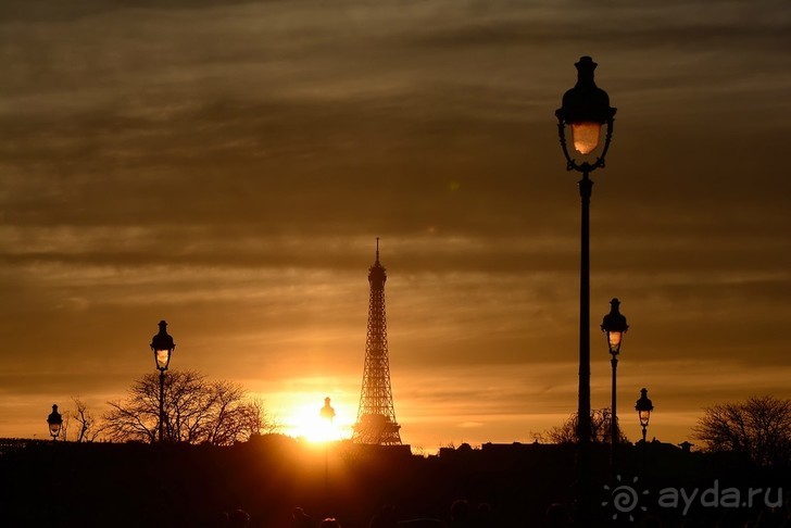 Результаты 2015... Могло быть хуже?