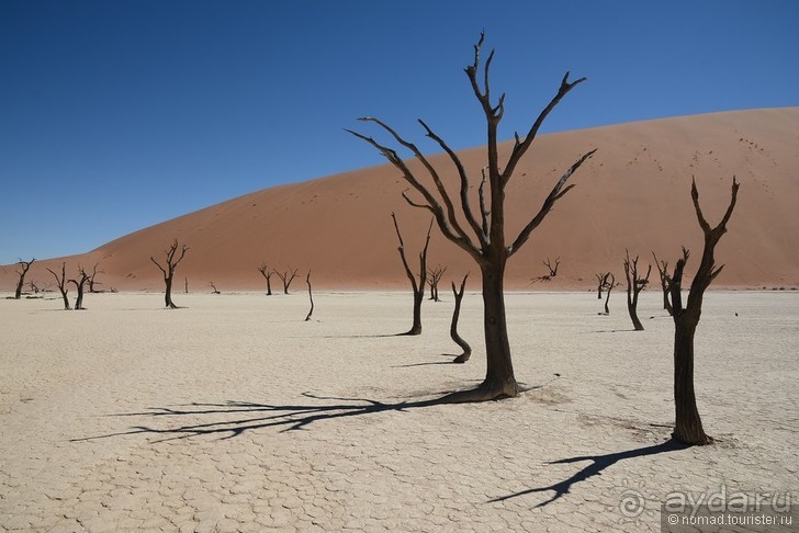 Результаты 2015... Могло быть хуже?