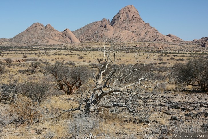 Результаты 2015... Могло быть хуже?