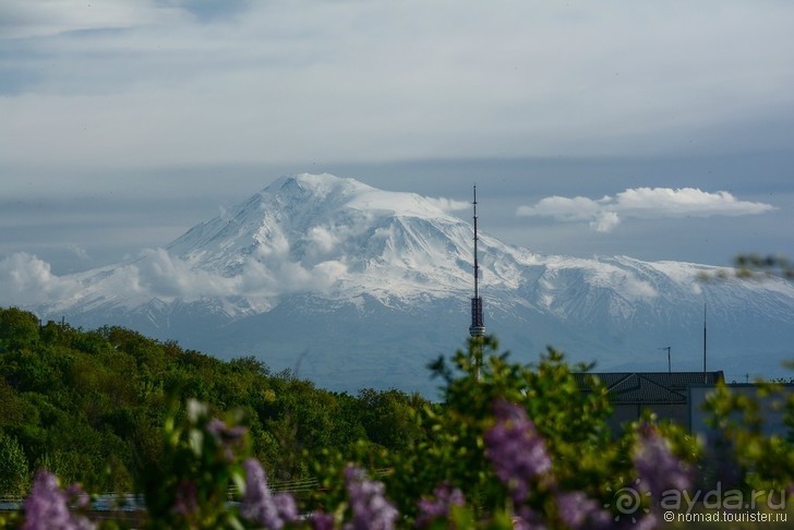 Результаты 2015... Могло быть хуже?