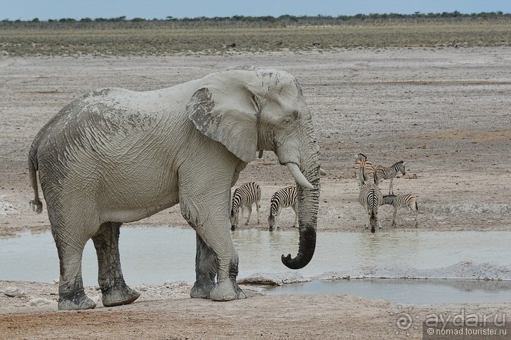 Результаты 2015... Могло быть хуже?
