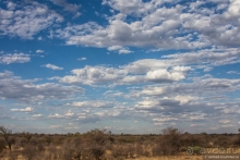 Африканское ралли. Часть 1