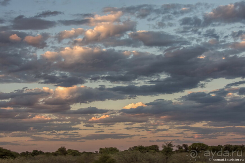 Африканское ралли. Часть 1