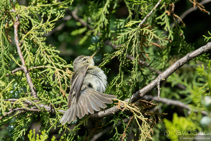 Африканское ралли. Часть 1