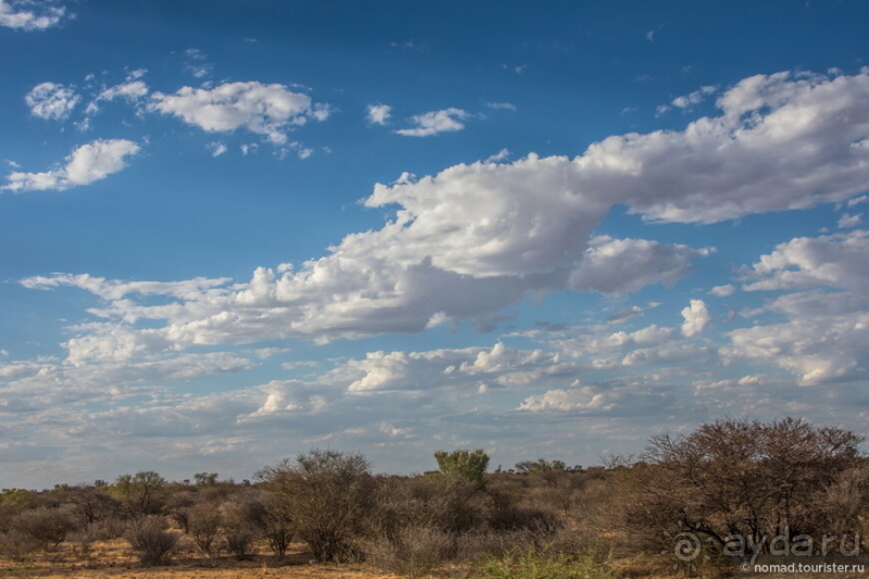 Африканское ралли. Часть 1