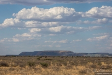 Африканское ралли. Часть 1