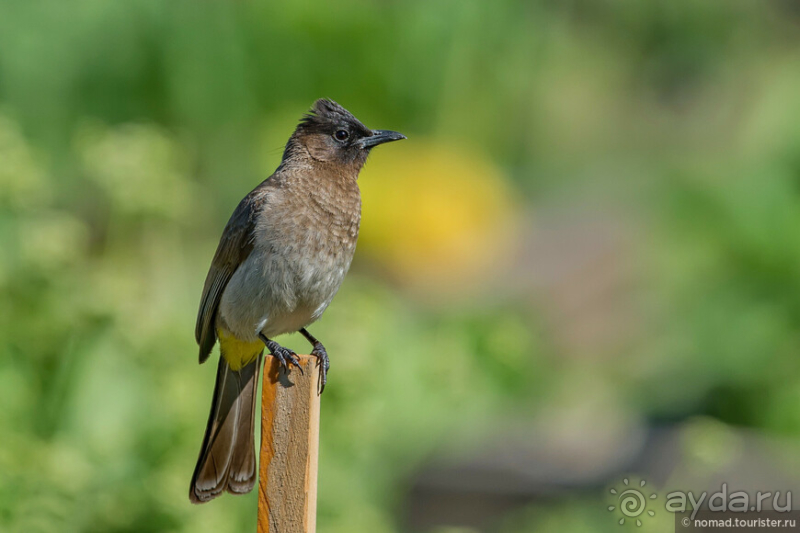 Африканское ралли. Часть 1