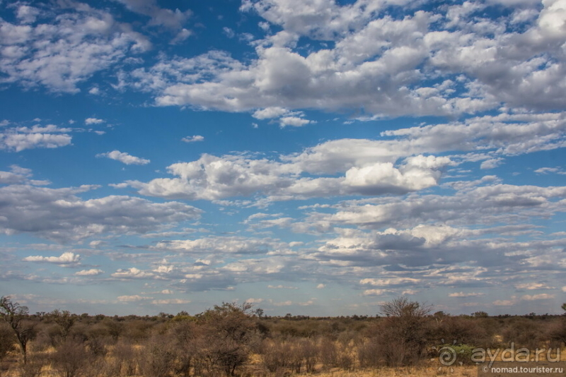 Африканское ралли. Часть 1