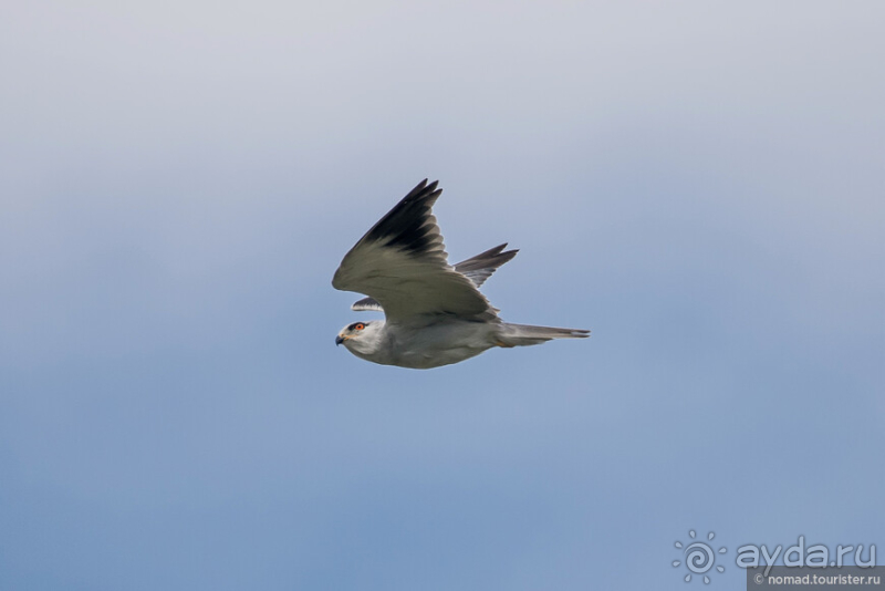 Африканское ралли. Часть 1