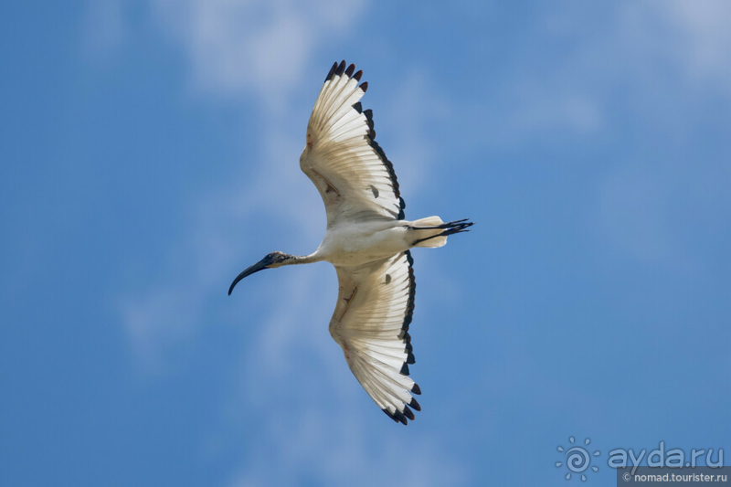 Африканское ралли. Часть 1