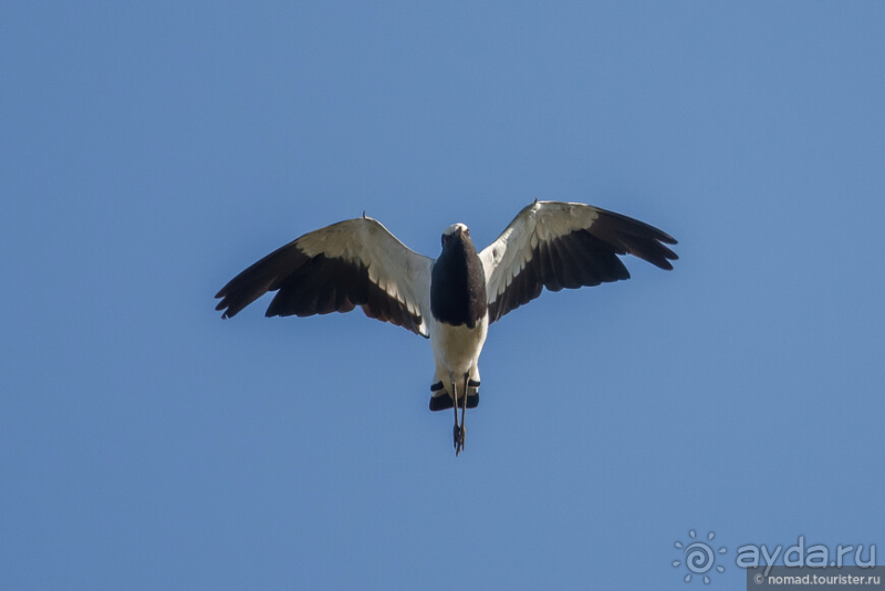 Африканское ралли. Часть 1