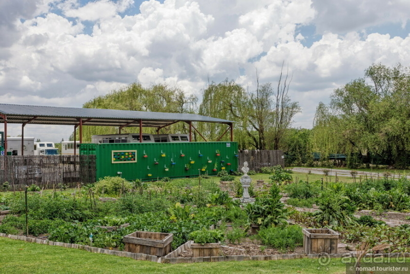 Африканское ралли. Часть 1