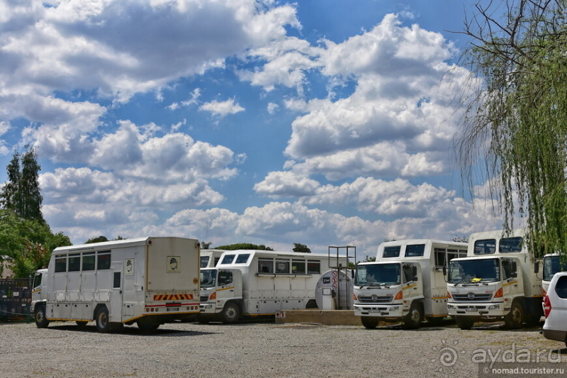 Африканское ралли. Часть 1