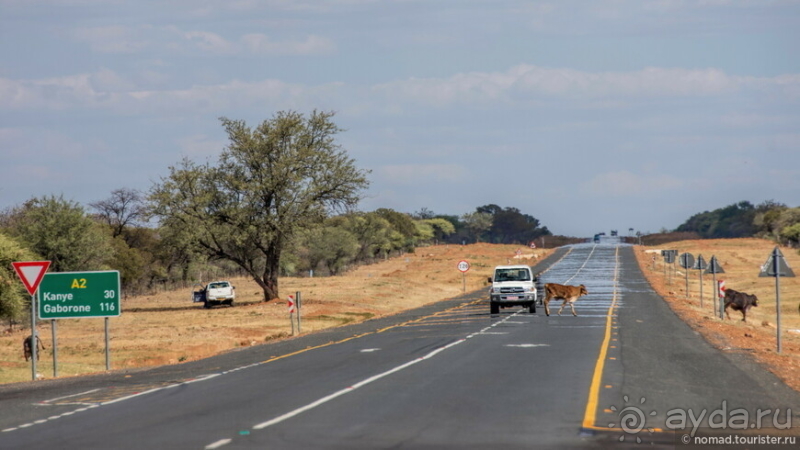 Африканское ралли. Часть 1