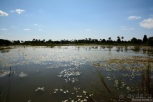 Из Мьянмы с любовью... Часть 6