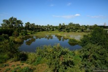 Из Мьянмы с любовью... Часть 6