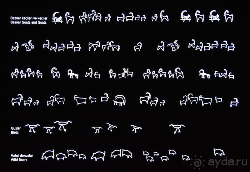 Апшеронские интересы