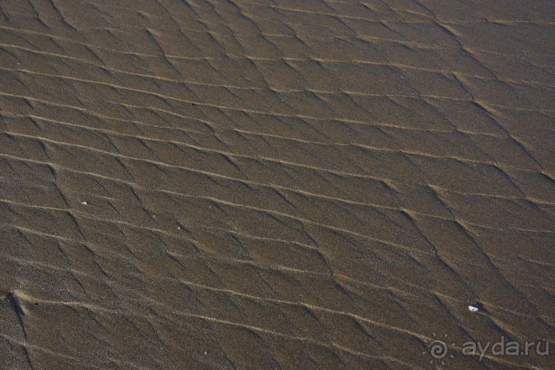 Апшеронские интересы