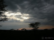 Танзания, Серенгети