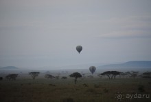 Танзания, Серенгети